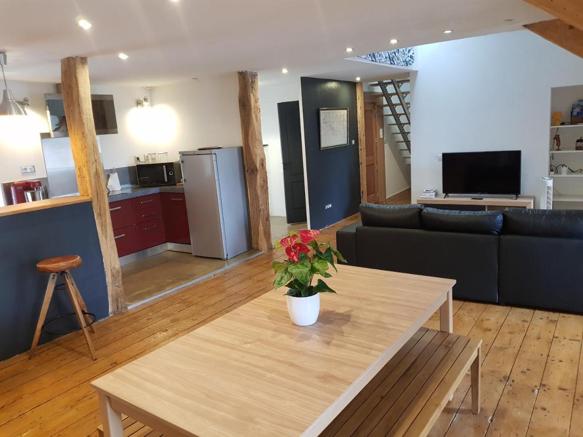 Loft Dans Les Pyrenees Apartment Oloron-Sainte-Marie Bagian luar foto
