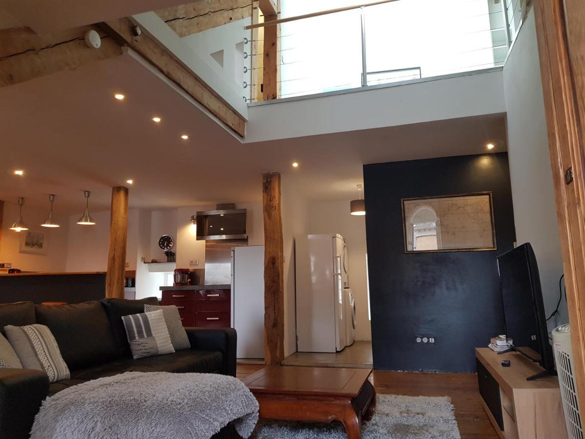 Loft Dans Les Pyrenees Apartment Oloron-Sainte-Marie Bagian luar foto